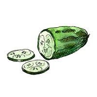 Cucumber Melon Oil